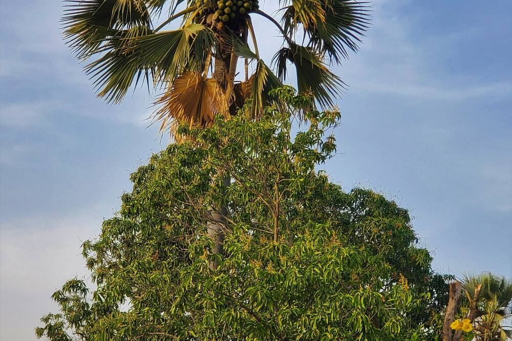 Photo of Outdoor in Yayem
