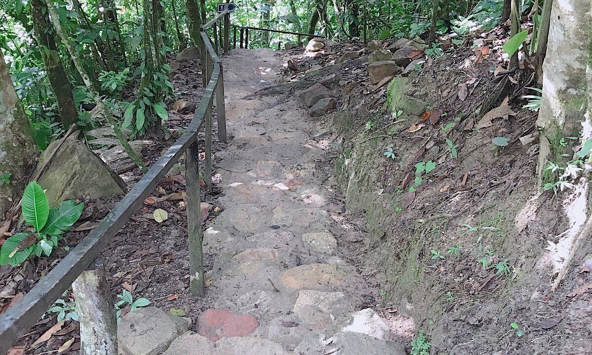 Photo of Others in Tarapoto