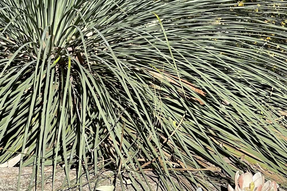 Photo of Outdoor in Kurrajong Hills
