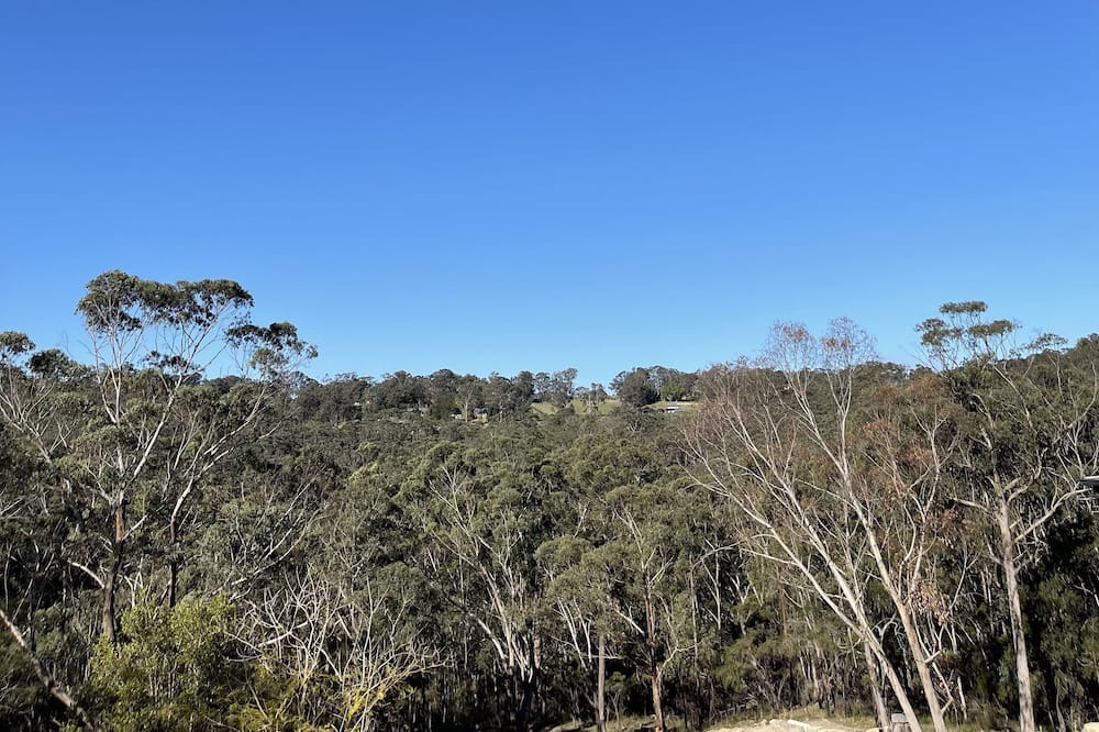 Photo of Others in Kurrajong Hills