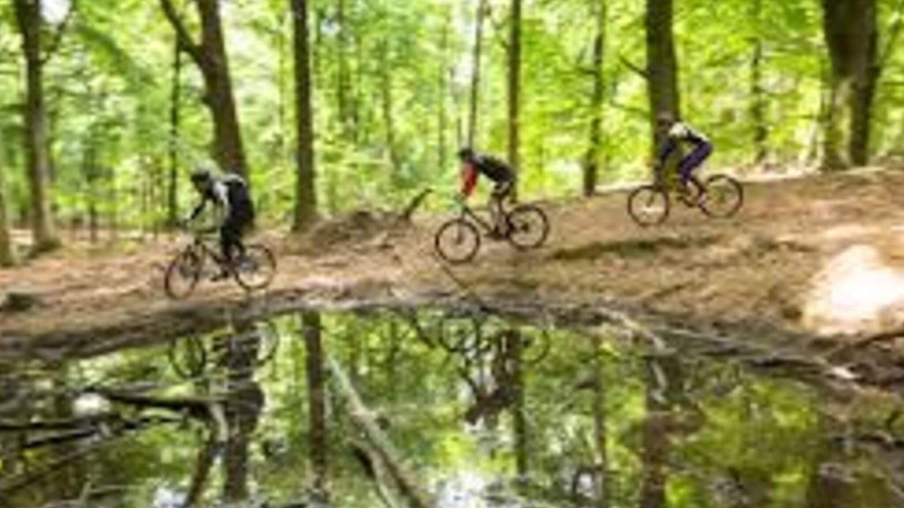 Photo of Outdoor in Drunen