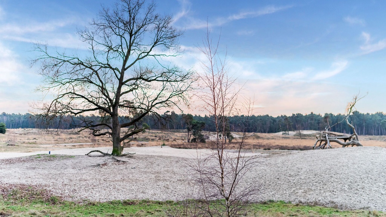 Photo of Outdoor in Drunen