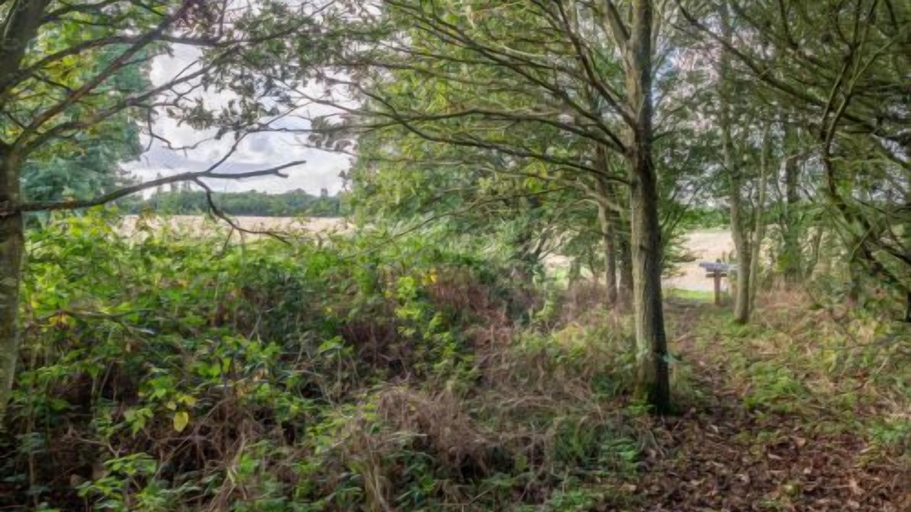 Photo of Outdoor in Colchester