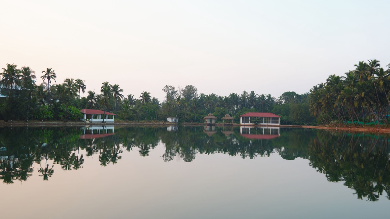 Photo of Outdoor in Arambol