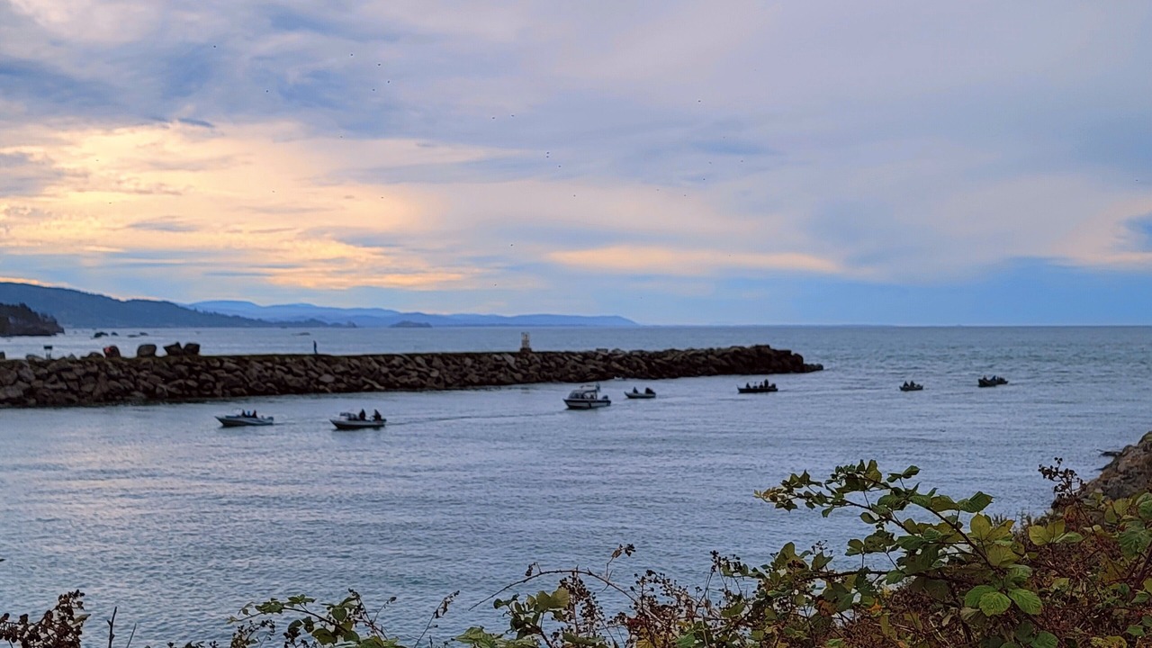 Photo of Outdoor in Harbor