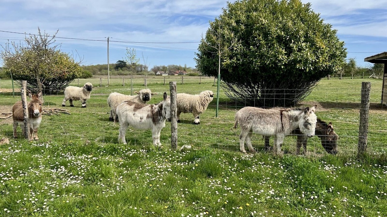Photo of Others in Chitenay