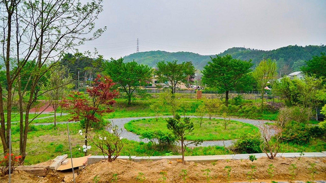 Photo of Others in Yongin
