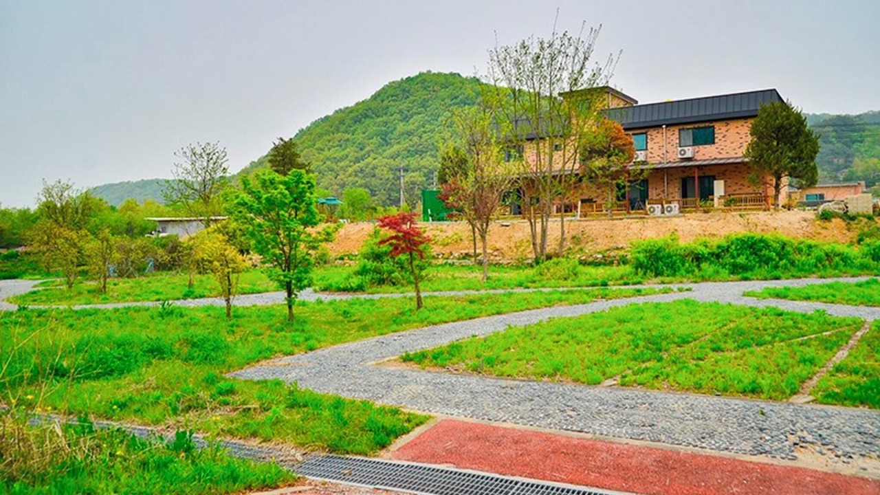 Photo of Others in Yongin