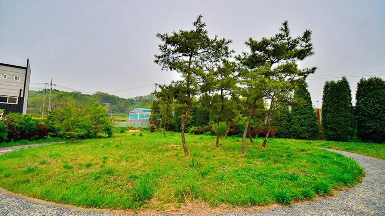 Photo of Others in Yongin