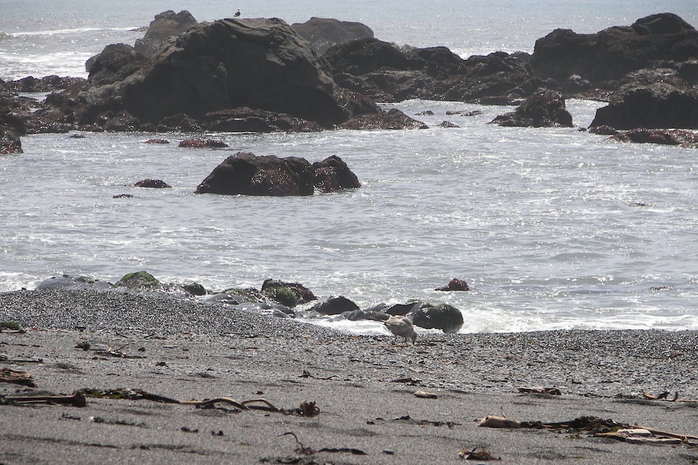 Photo of Outdoor in Harbor