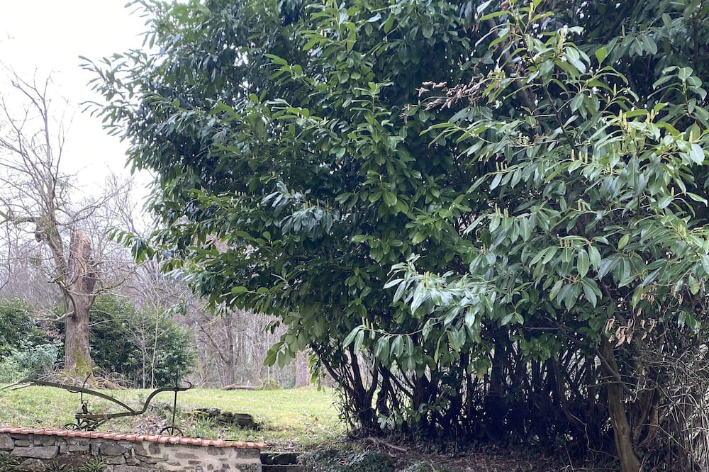 Photo of Outdoor in Saint-Just-le-Martel