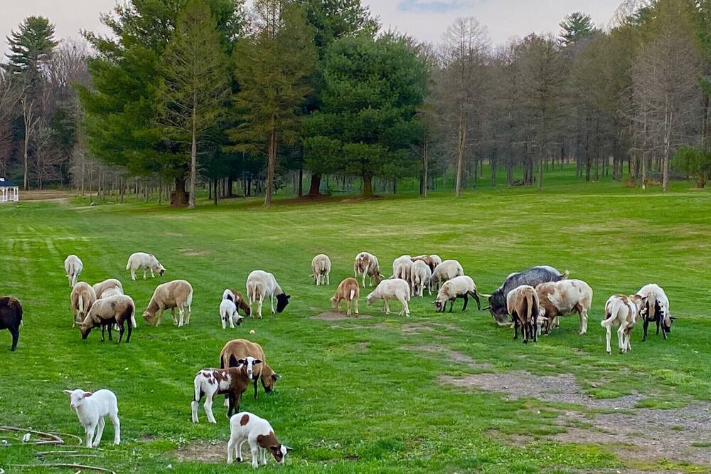 Photo of Outdoor in Lehighton