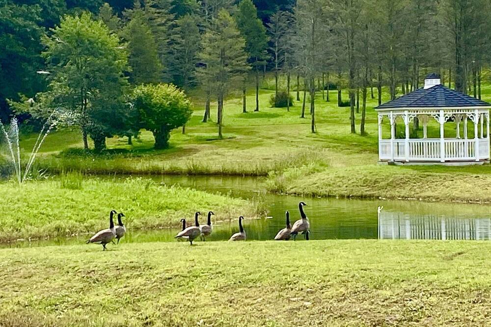 Photo of Outdoor in Lehighton