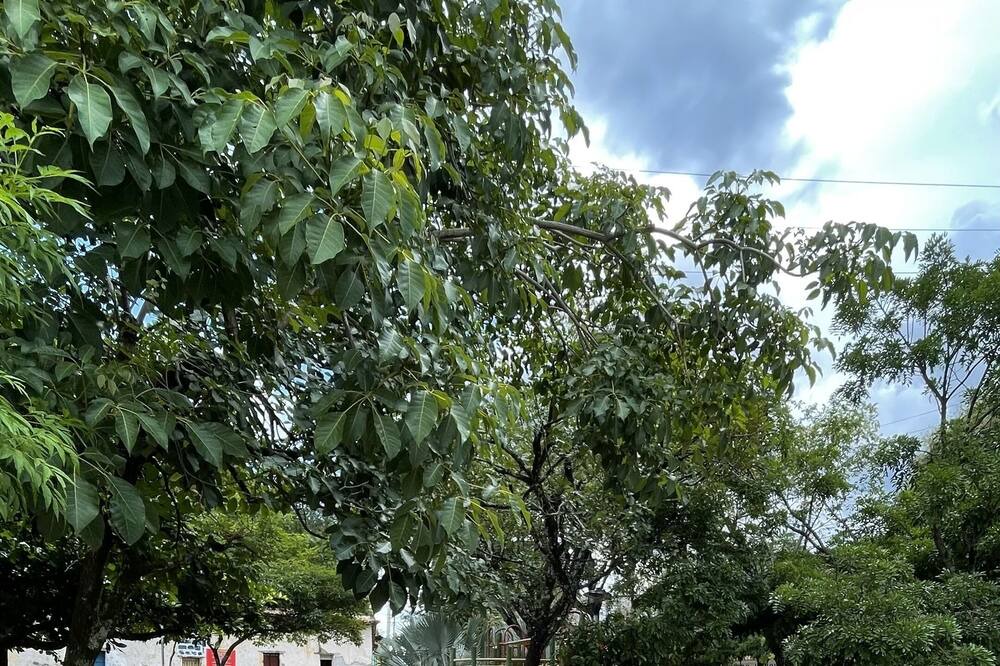 Photo of Others in Suchitoto