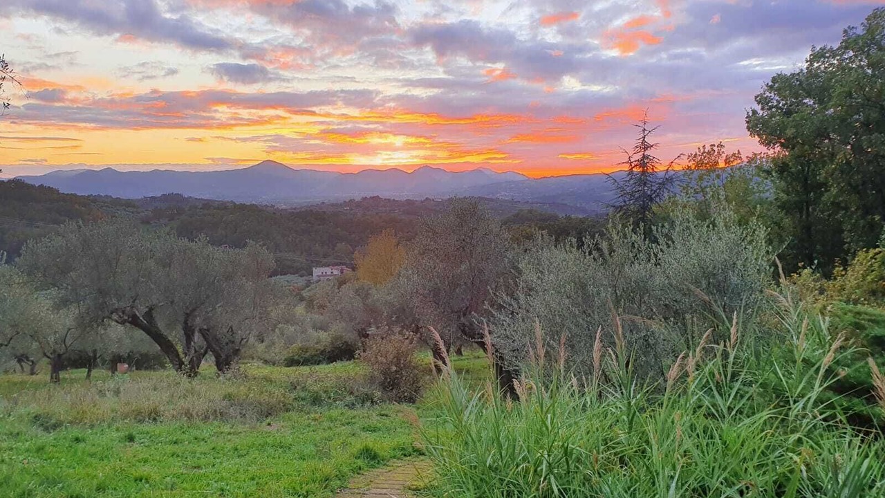 Photo of Outdoor in Melizzano