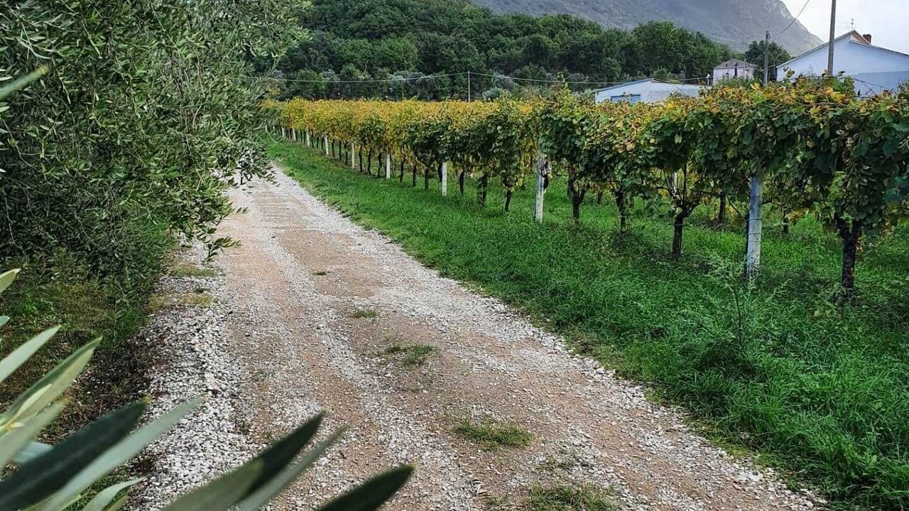 Photo of Outdoor in Melizzano