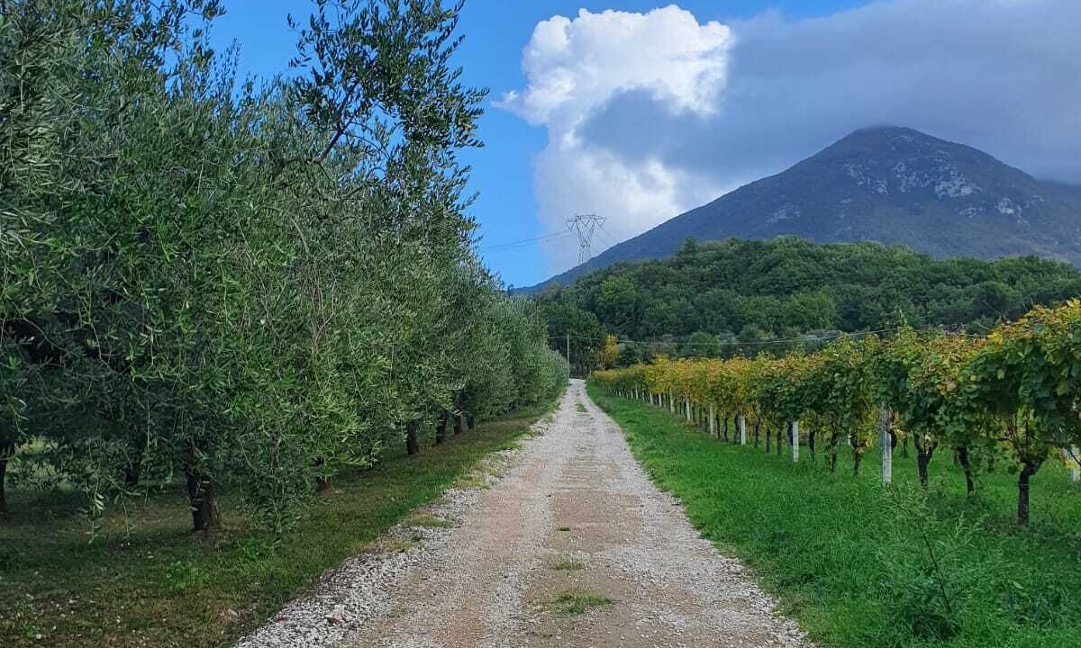 Photo of Outdoor in Melizzano