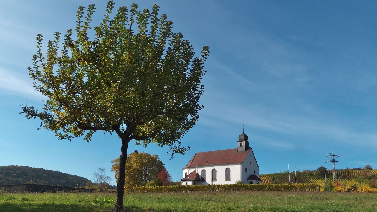 Photo of Outdoor in Gleiszellen-Gleishorbach