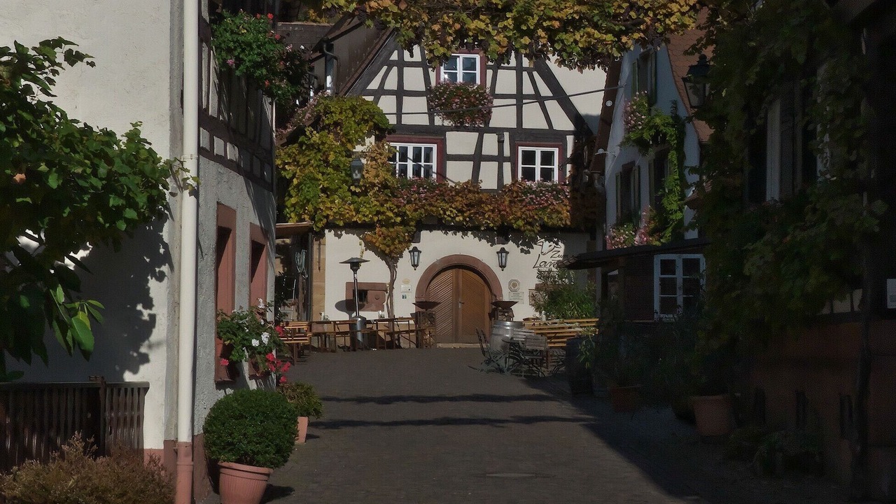 Photo of Outdoor in Gleiszellen-Gleishorbach