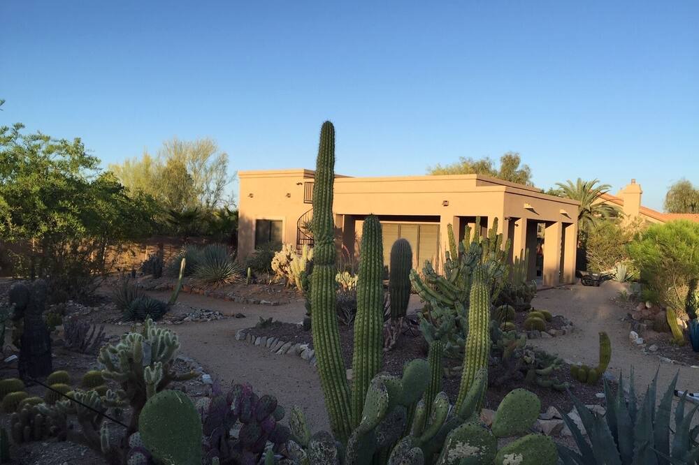 Photo of Outdoor in Cactus Acres