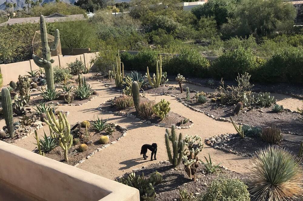 Photo of Outdoor in Cactus Acres