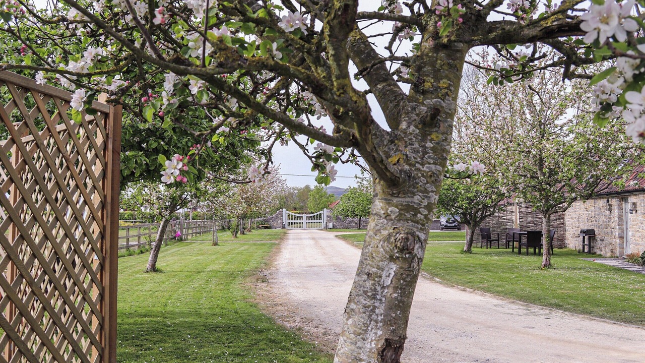 Photo of Outdoor in Badgworth