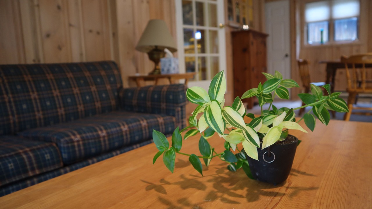 Photo of Livingroom in Lost River