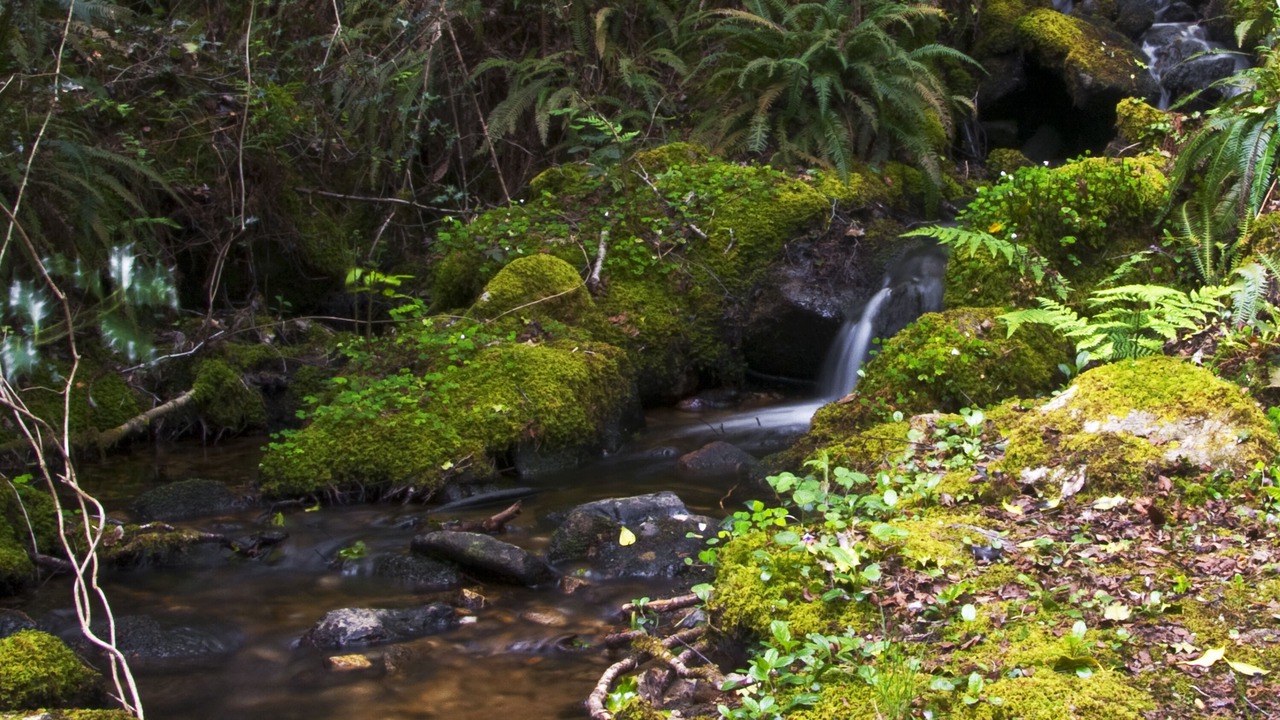Photo of Outdoor in Graiguenamanagh