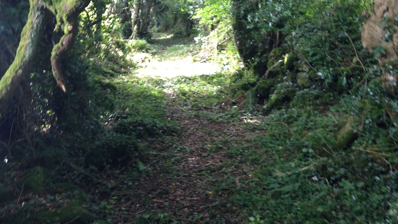 Photo of Outdoor in Graiguenamanagh