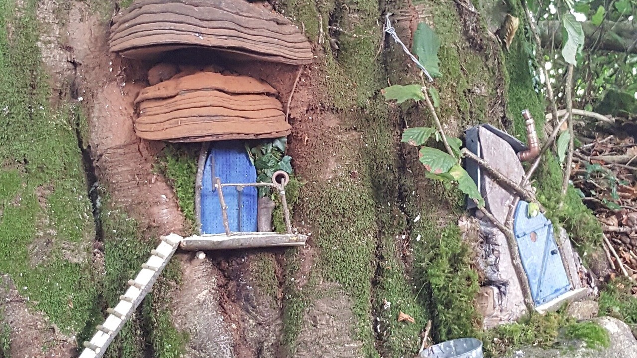 Photo of Outdoor in Graiguenamanagh