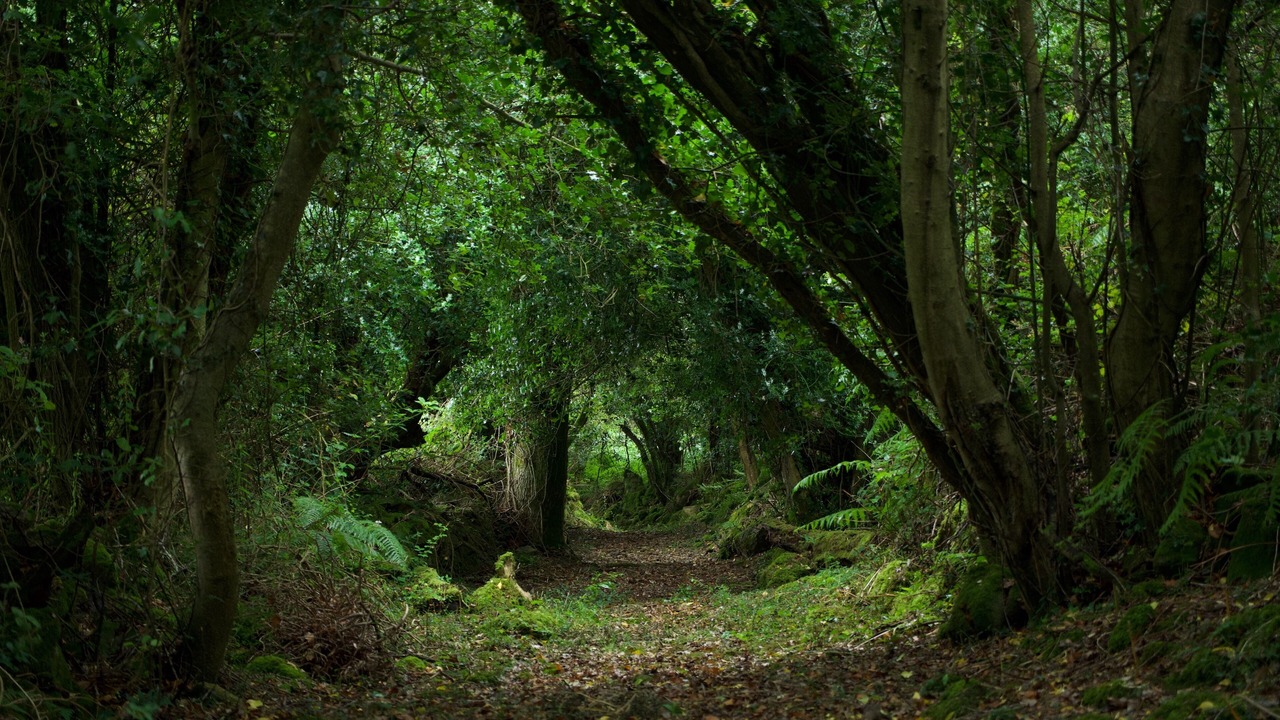 Photo of Outdoor in Graiguenamanagh