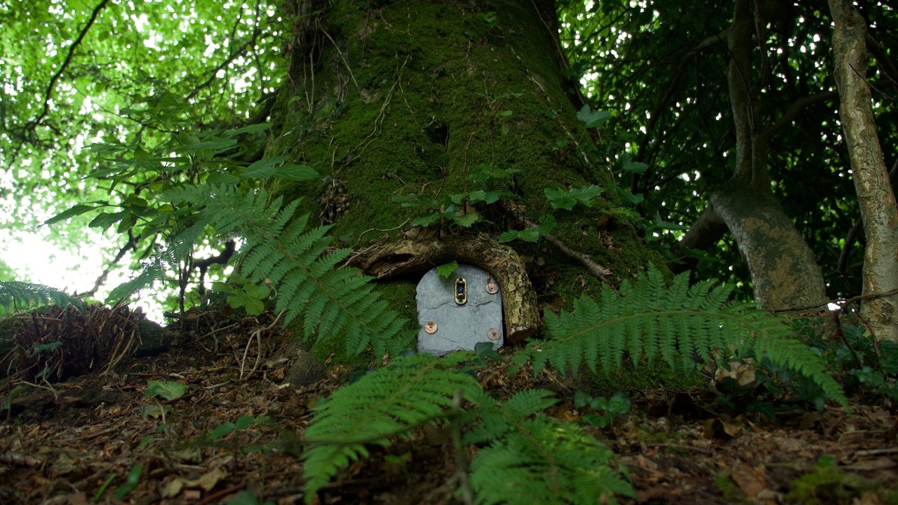 Photo of Outdoor in Graiguenamanagh