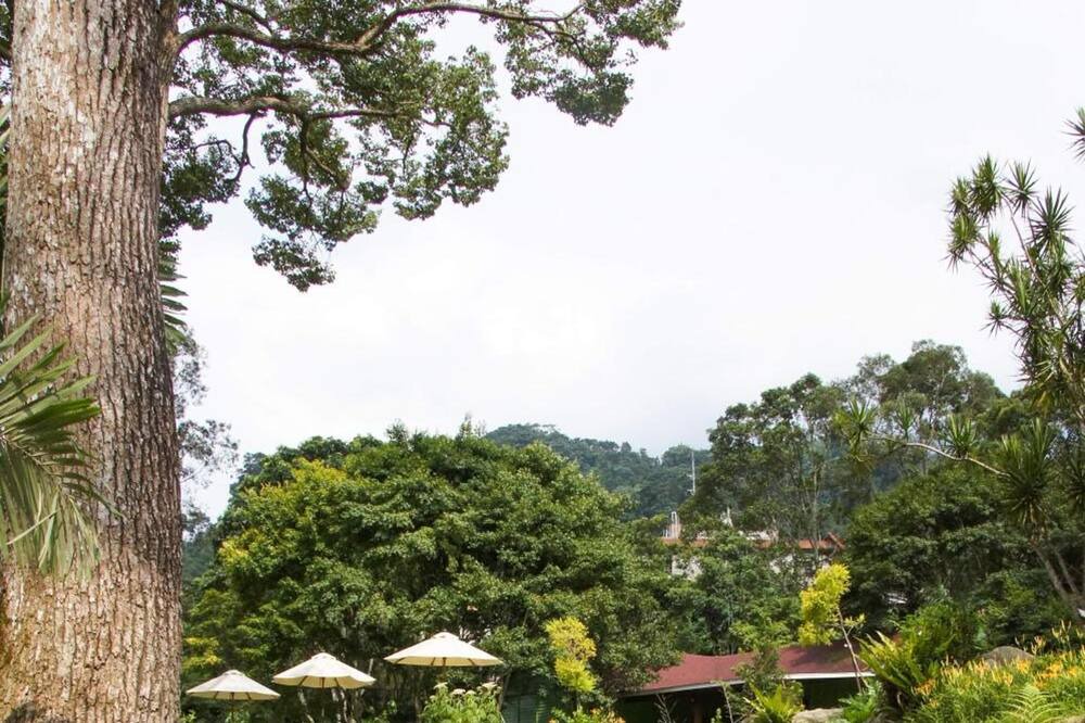 Photo of Outdoor in Nanzhuang