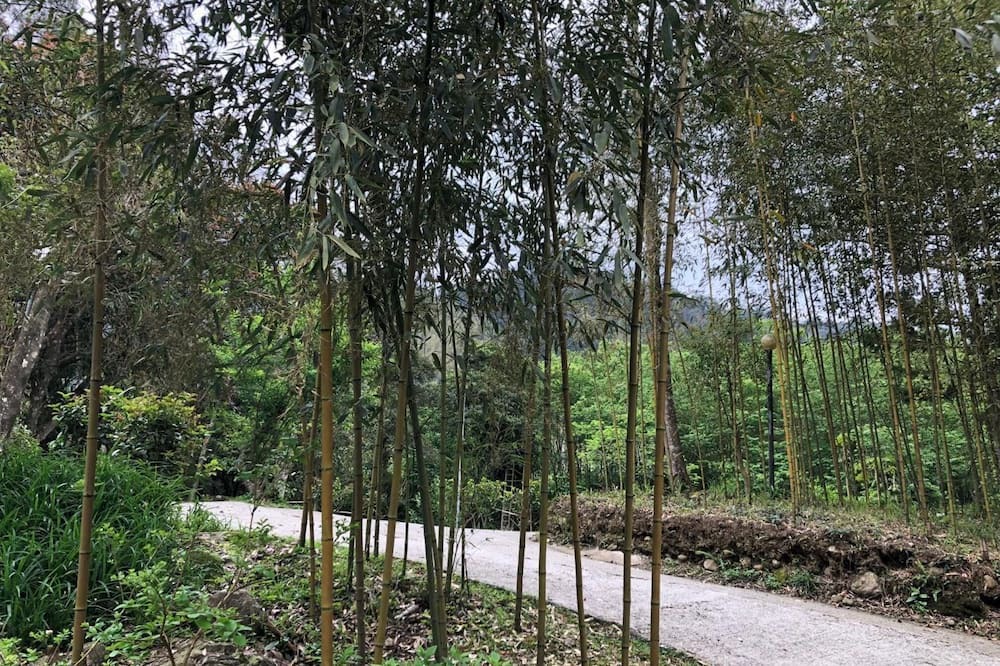 Photo of Outdoor in Nanzhuang