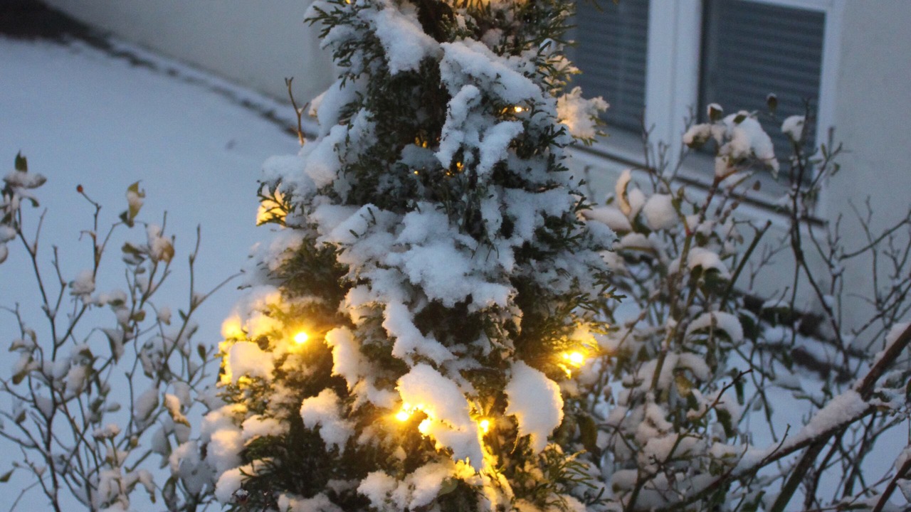 Photo of Outdoor in Odense NV