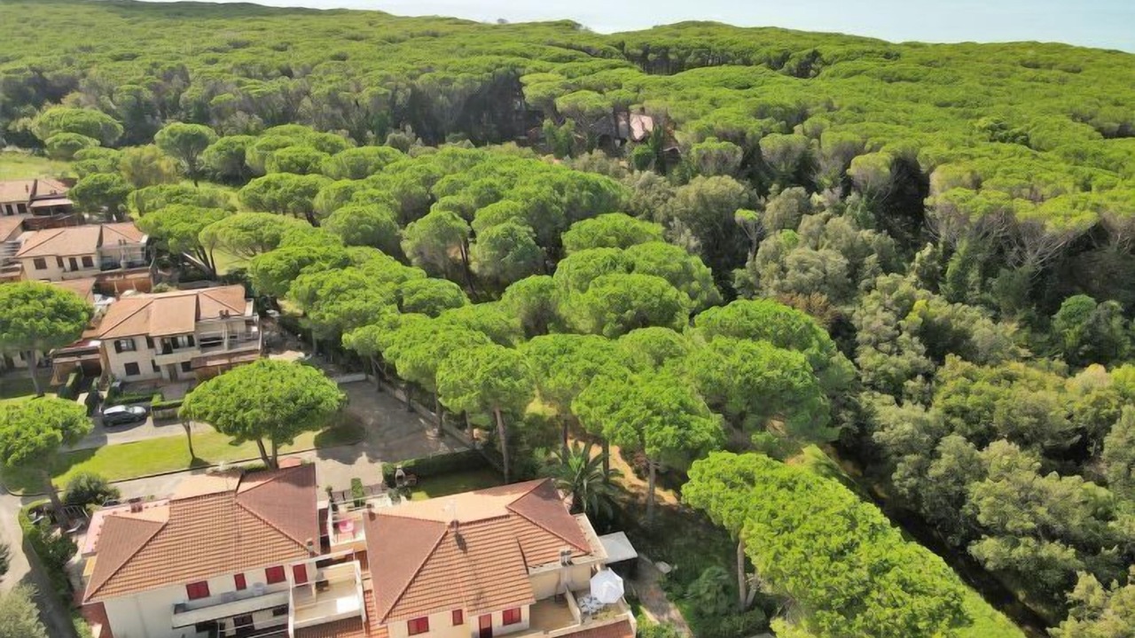 Photo of Outdoor in Mazzanta