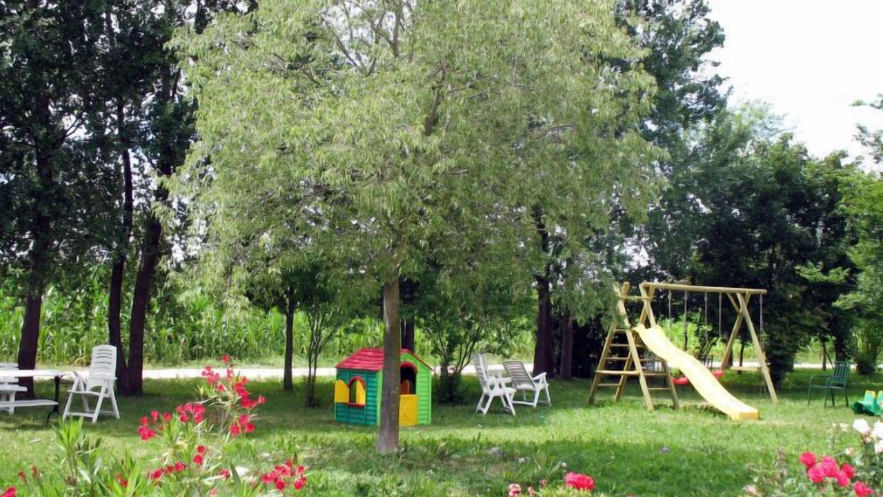 Photo of Others in Fossalta Maggiore