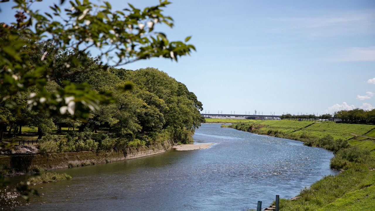 Photo of Others in Chikugo