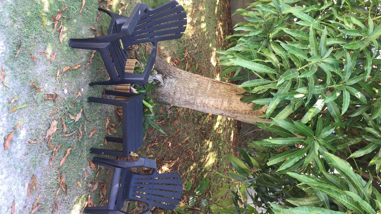 Photo of Outdoor in Baie-Mahault