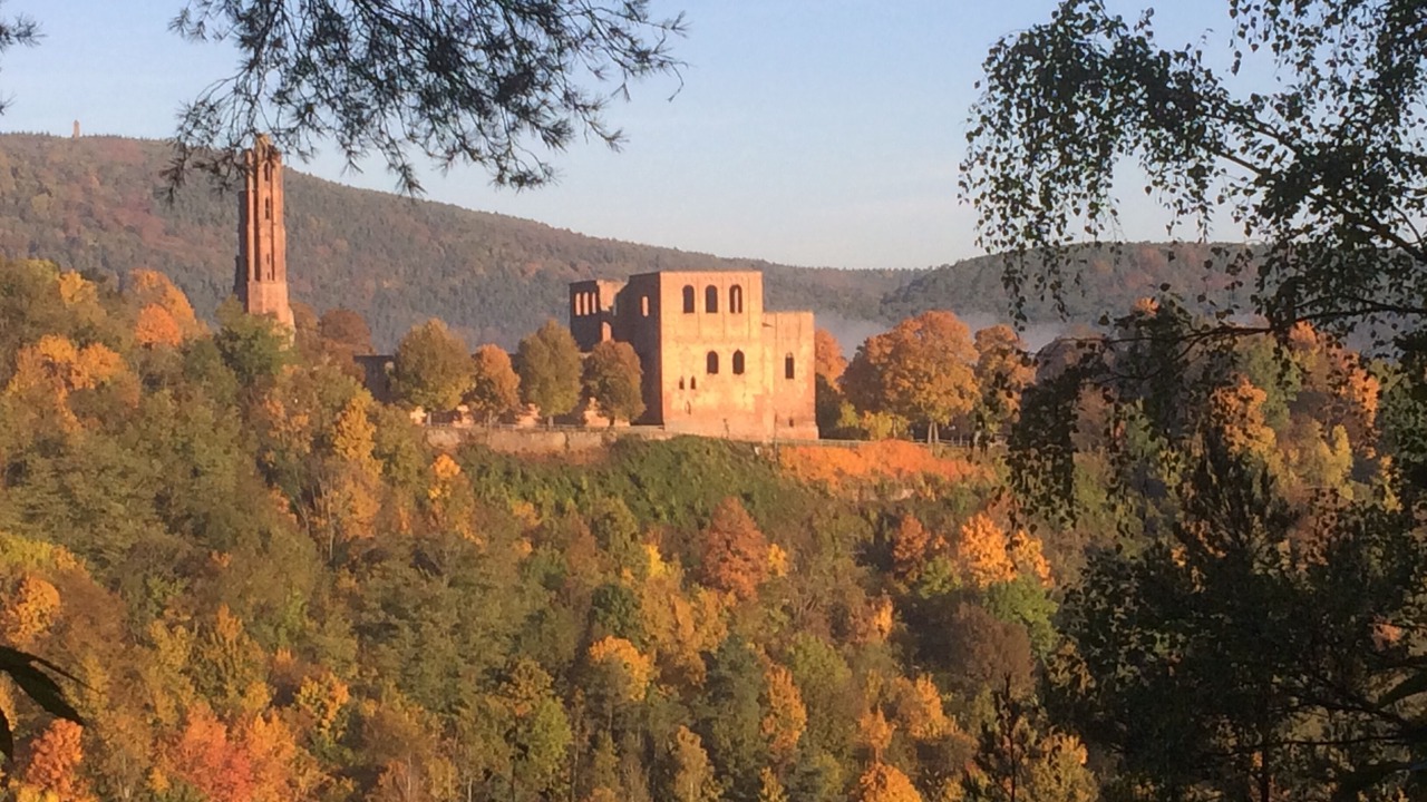Photo of Outdoor in Bad Duerkheim