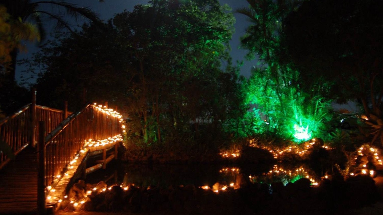 Photo of Outdoor in Chintsa