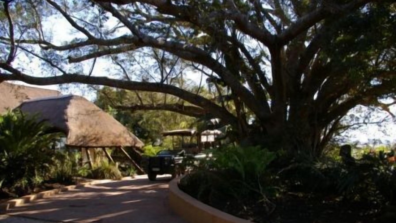 Photo of Outdoor in Chintsa