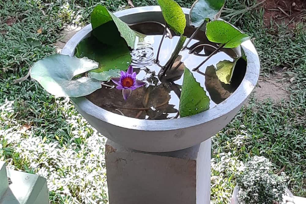 Photo of Outdoor in Moragolla