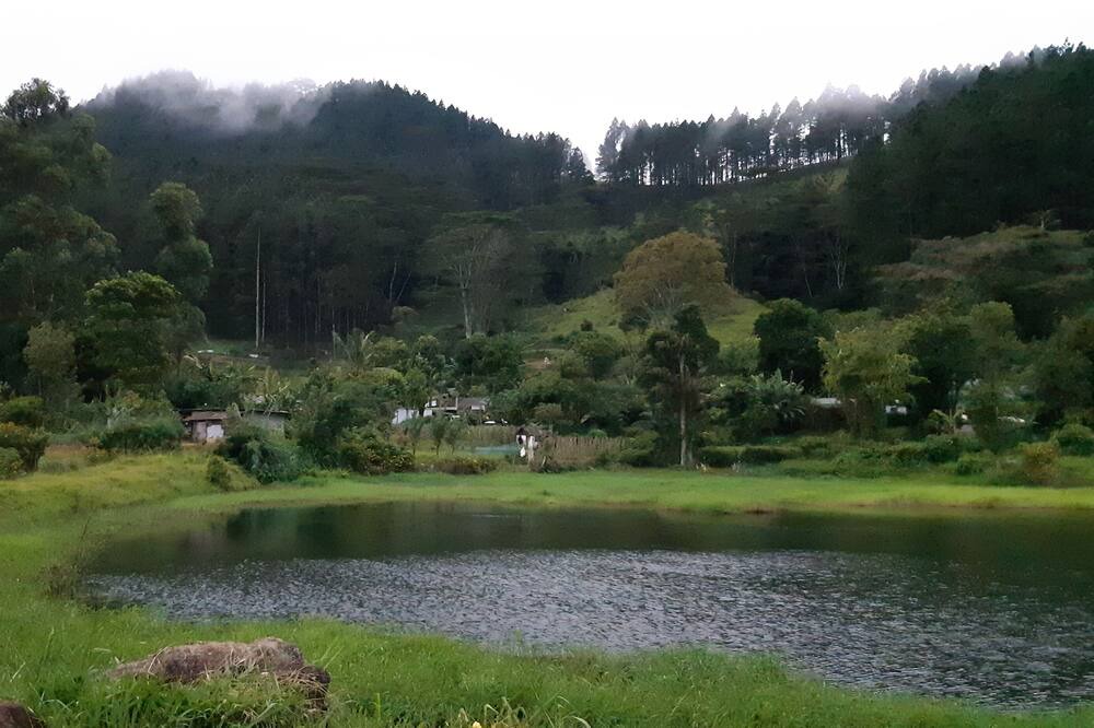 Photo of Outdoor in Moragolla