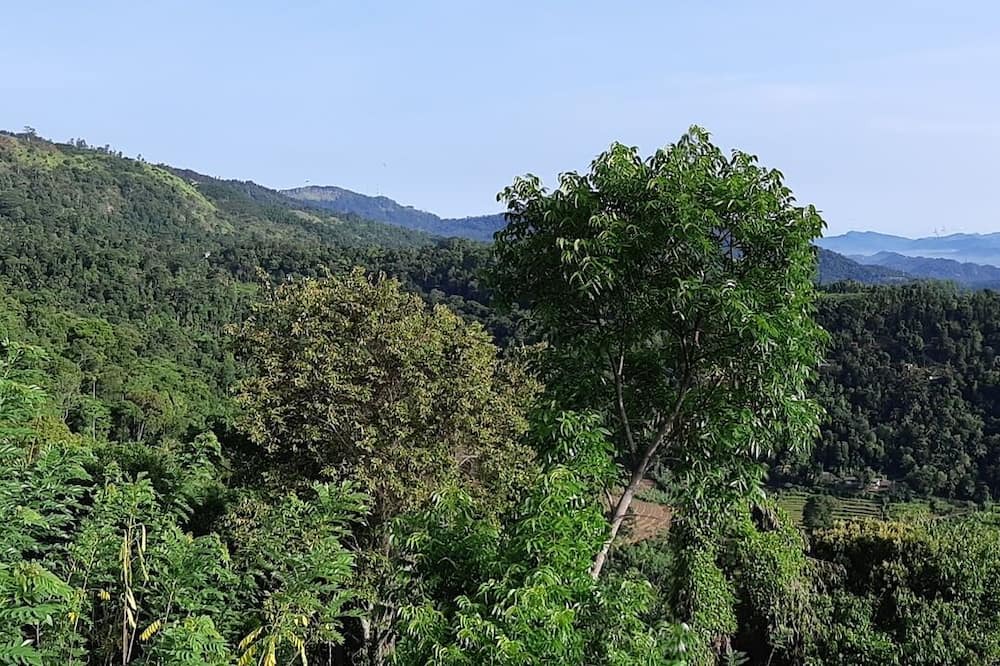 Photo of Others in Moragolla