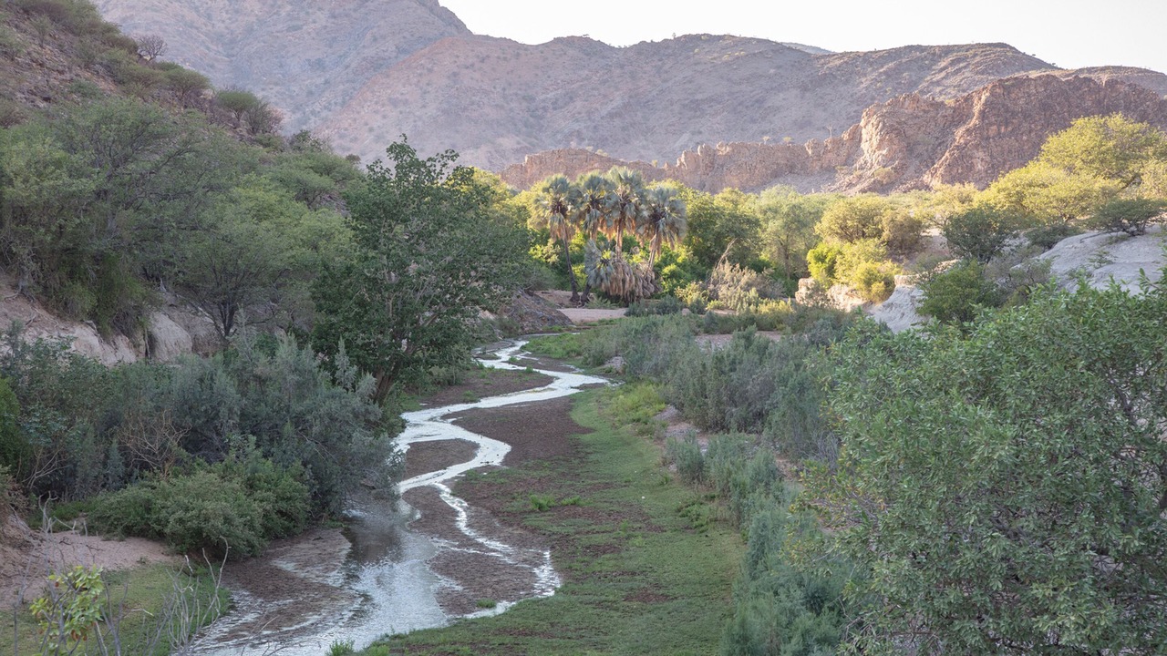 Photo of Others in Khowarib