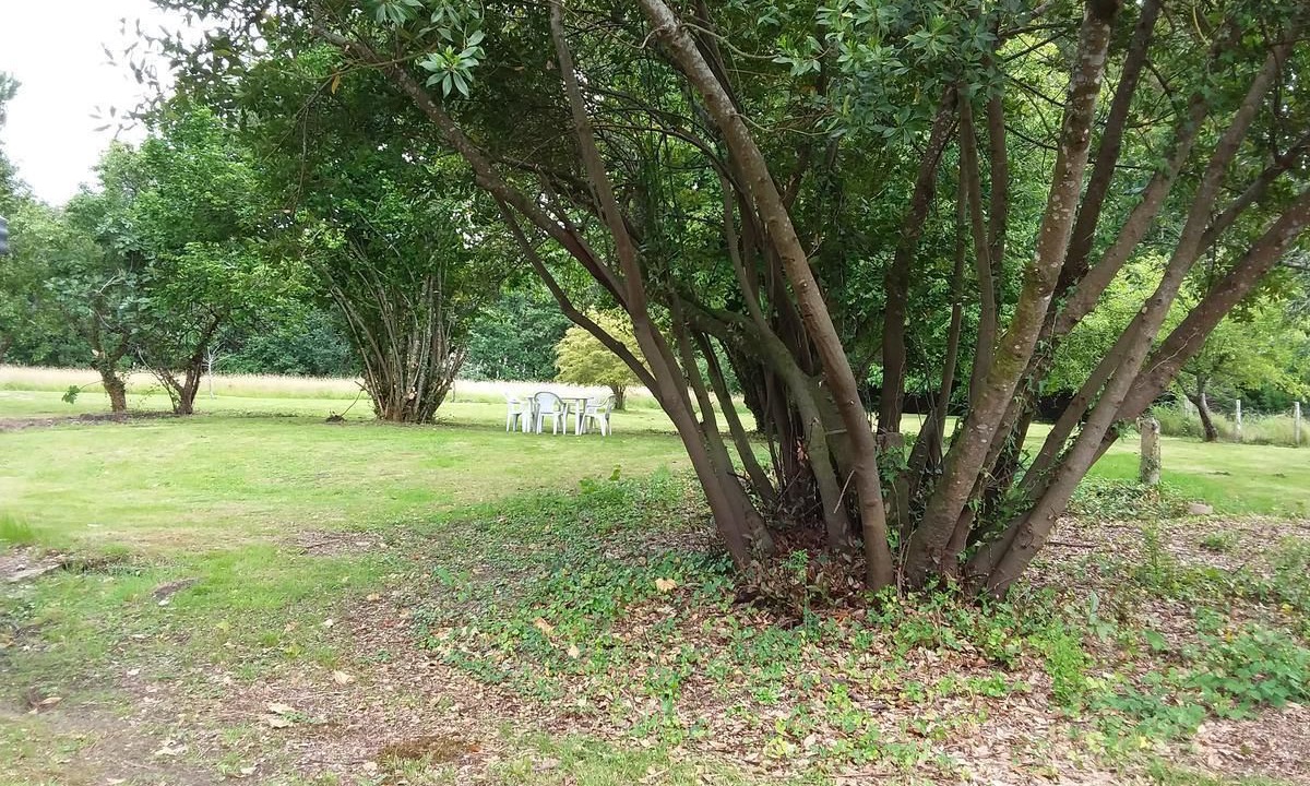 Photo of Outdoor in Villenave