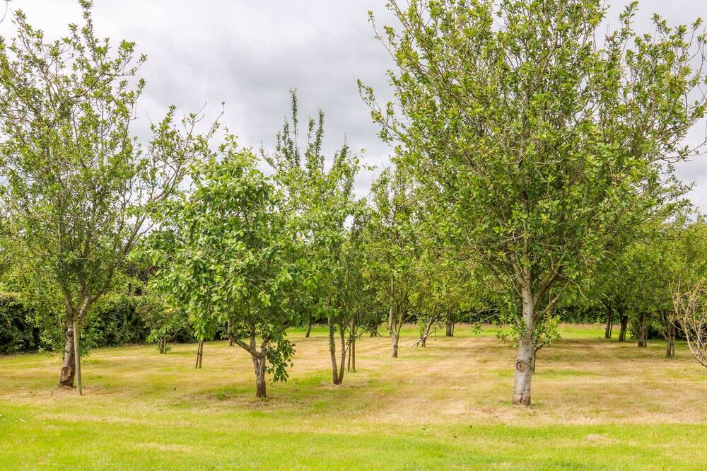 Photo of Outdoor in Knockaderry Cross Roads