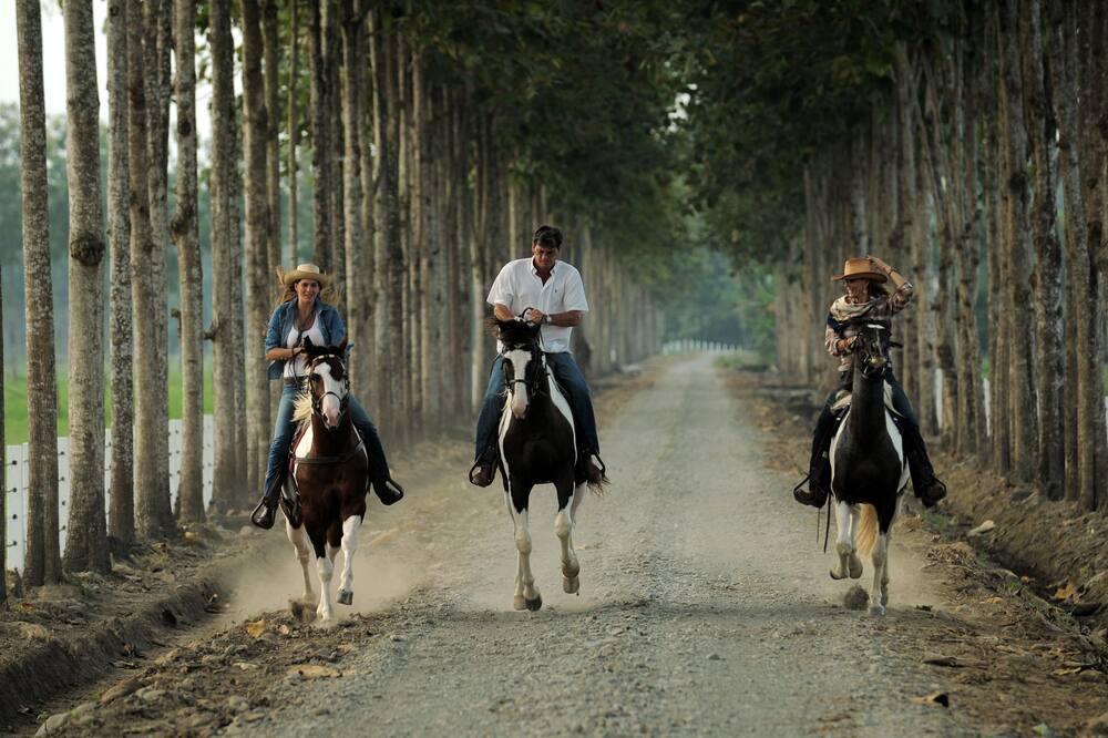 Photo of Others in Naranjito
