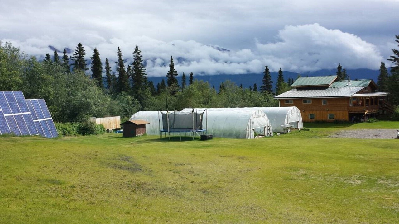 Photo of Outdoor in McCarthy